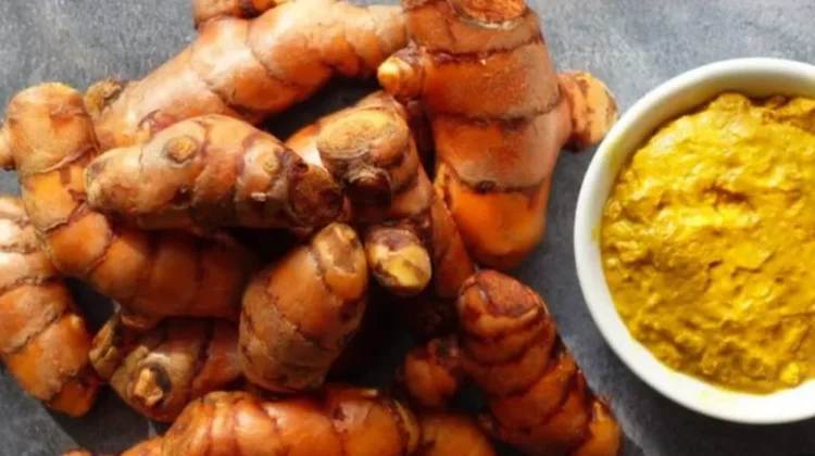 Inilah Tanaman Herbal yang Kerap Digunakan Terapi Pemulihan Stroke