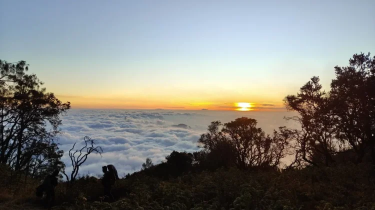 Lereng Gunung Arjuno Sajikan Panorama Sunrise dan Lautan Awan yang Memukau
