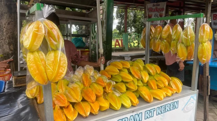 Belimbing Karangsari Blitar Punya Rasa Manis dan Ukuran Jumbo