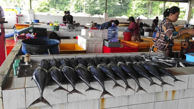 Nelayan Pantai Tambah Berharap BBM Tetap Terjangkau