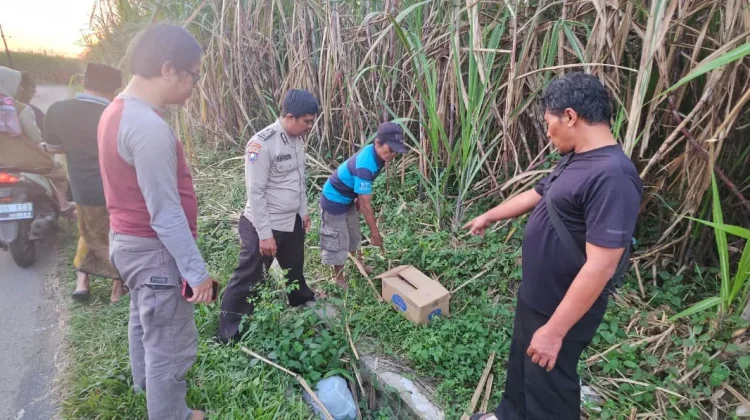 Bayi Perempuan Dibuang di Gondanglegi Malang, Diduga Hasil Hubungan Gelap