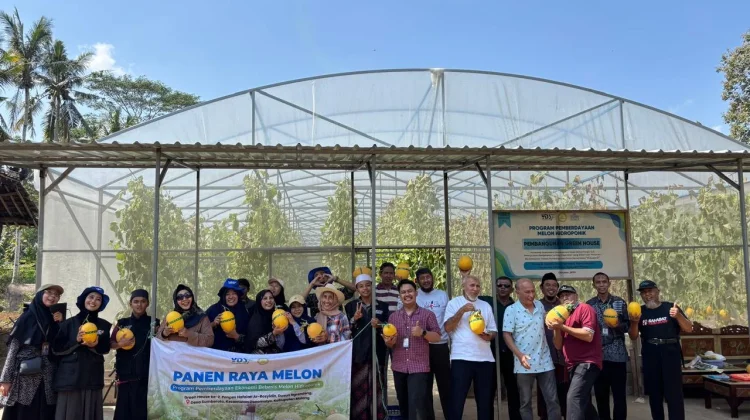 Panen Raya Melon Hidroponik, Bukti Wakaf Produktif Pesantren