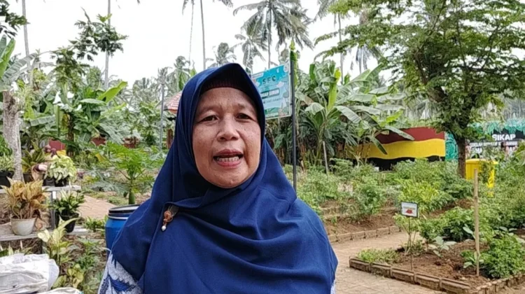 Kebun Ketahanan Pangan SMAN 1 Dampit Malang Jadi Laboratorium dan Praktik Belajar