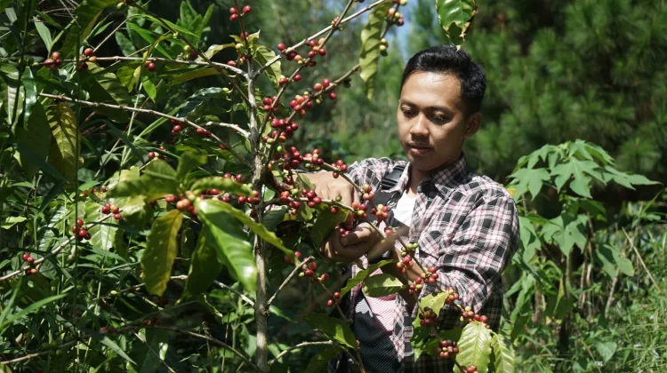 Wonosantri, Gerakan Anak Muda yang Menjaga Hutan Lereng Arjuno