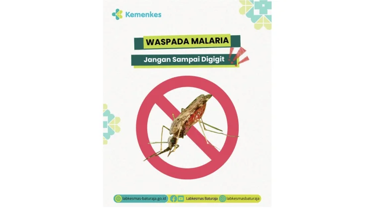 Waspada Malaria, Kenali Gejala dan Cara Pencegahannya