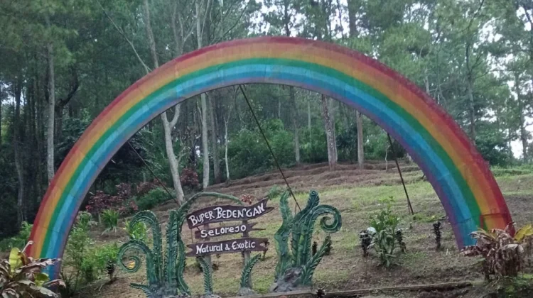 Healing Seru di Camping Ground Bedengan Malang