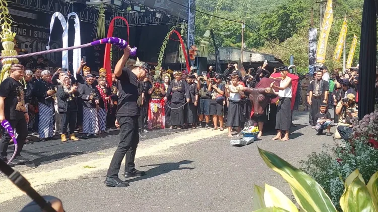 Kirab Banteng 1 Suro Empu Supo XVIII Meriahkan Songgoriti
