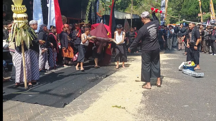 Ribuan Warga Meriahkan Ngarak Banteng 1 Suro di Songgoriti
