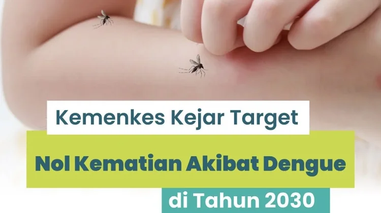 Kemenkes Targetkan Nol Kematian DBD pada 2030