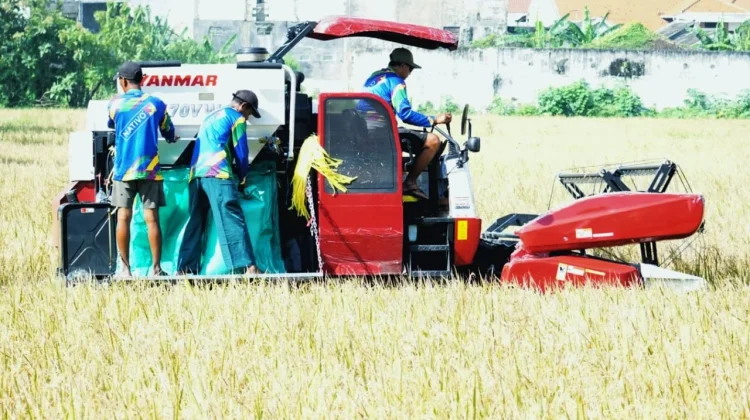 Pemkot Pasuruan Targetkan Luas Tambah Tanam Padi 2.159 Hektare di 2026