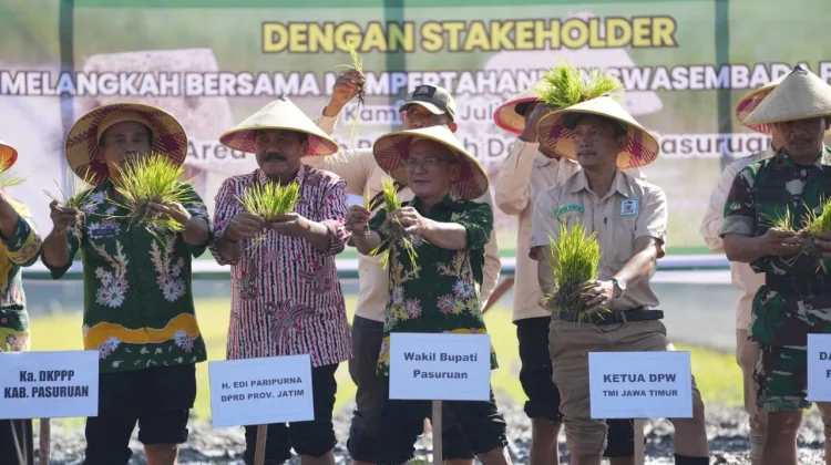 DPD Tani Merdeka Pasuruan Raya Gelar Tanam Padi Serentak