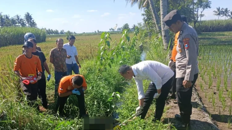 Geger Temuan Jasad Bayi Laki-laki di Sukonolo Bululawang Malang, Polisi Buru Pelaku
