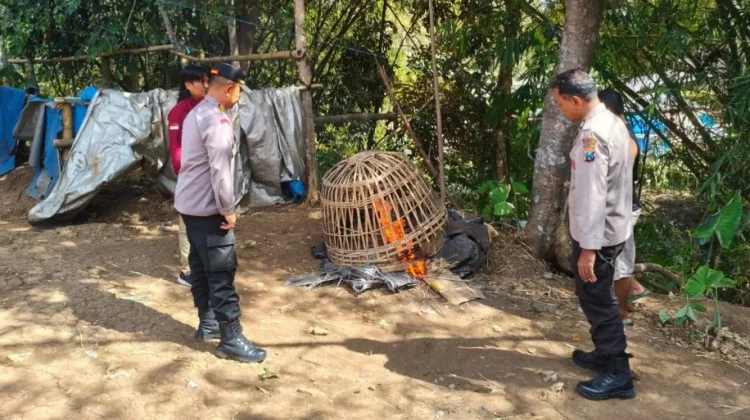 Polsek Gedangan Gerosok Judi Sabung Ayam