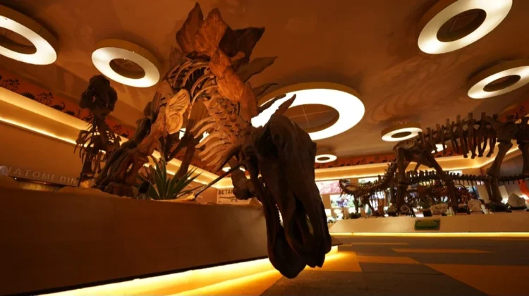 Dino Fossil Dino Park Hadirkan Edukasi Dunia Dinosaurus