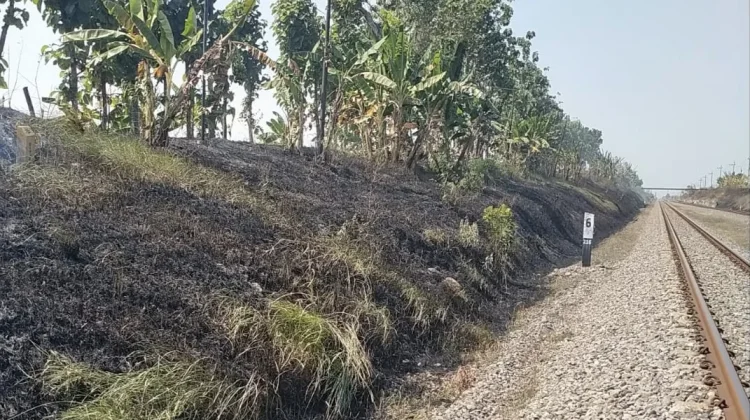 KAI Daop 7 Madiun Larang Bakar Jerami Dekat Jalur Rel Kereta