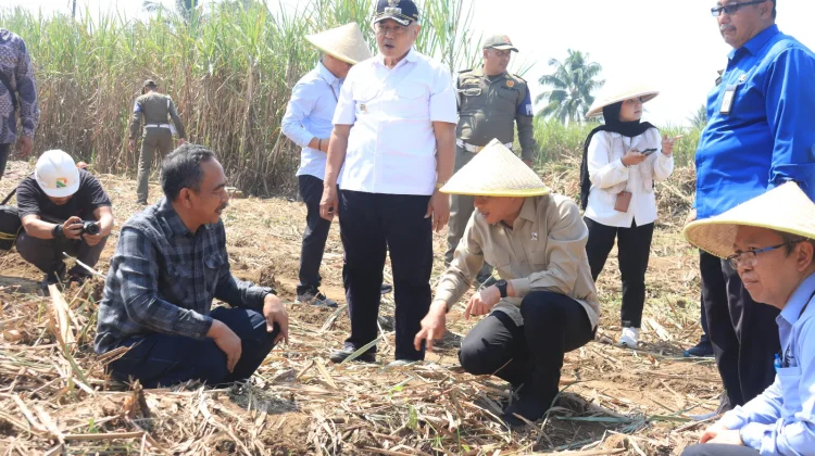 Wamenko Pangan Hanif Faisol Targetkan Swasembada Gula di Gondanglegi Malang