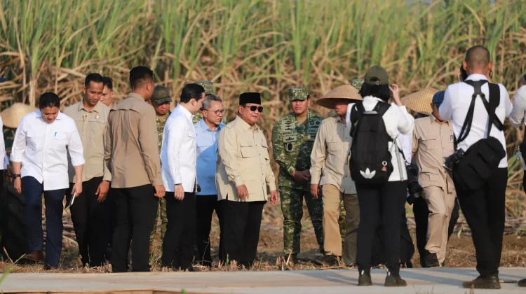 Prabowo Targetkan Peremajaan Tebu Dipercepat Dua Tahun