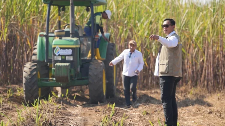 BULOG Perkuat Penyerapan Hasil Panen, Jaga Ketahanan Pangan Nasional