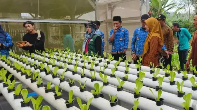 Wisata Desa Sumberdem Lebih Lengkap Dinikmati dengan Menginap Semalam