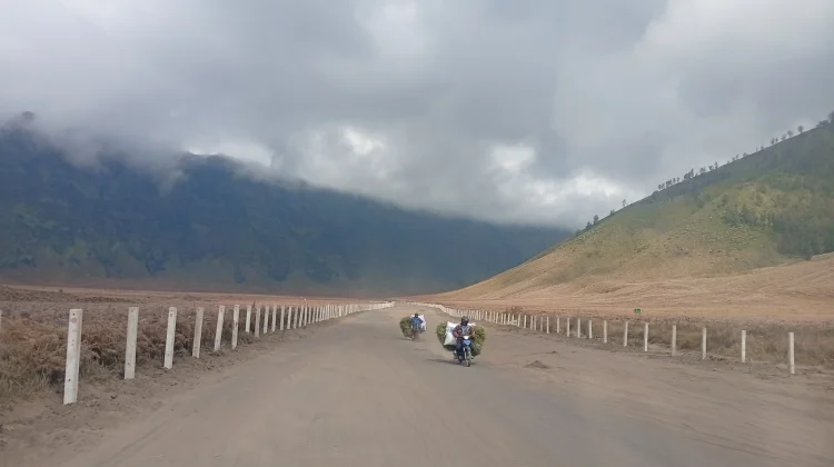 Pembangunan JLKT Bromo Capai 80 Persen, Upaya Jaga Ekosistem Kawasan Bromo