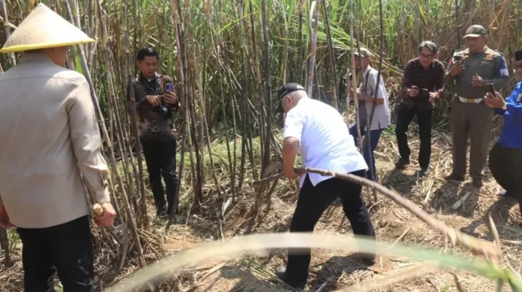 RDTR Kabupaten Malang Bakal Kunci Lahan Baku Sawah