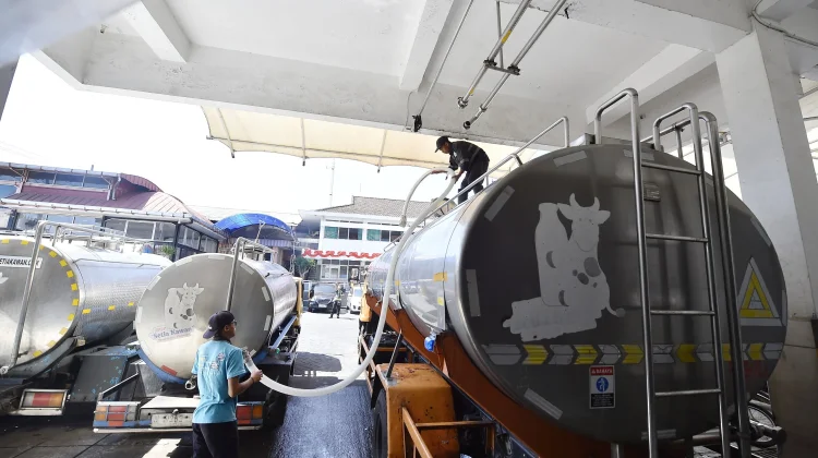 Sehari, KPSP Setia Kawan Nongkojajar Produksi Susu Segar 110 Ton