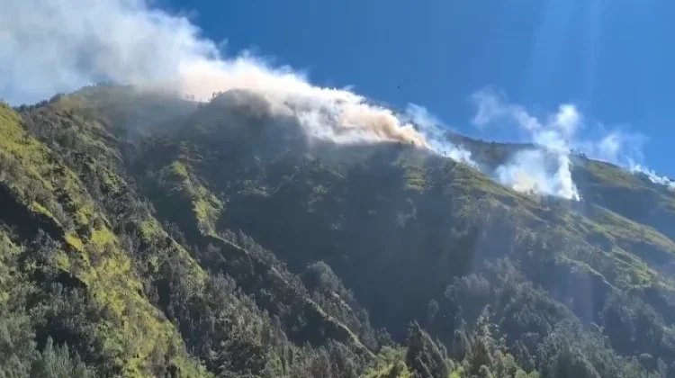 BPBD Probolinggo Pantau Kebakaran Hutan di Gunung Ringgit