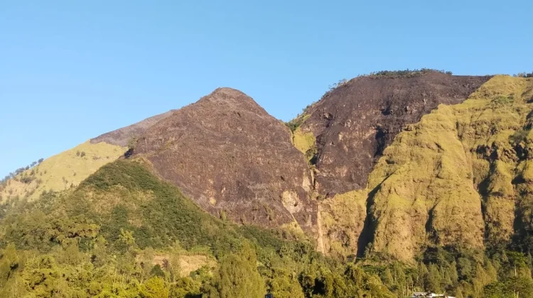 Karhutla Gunung Ringgit Mulai Terkendali, BPBD Probolinggo Tetap Siagakan Tim