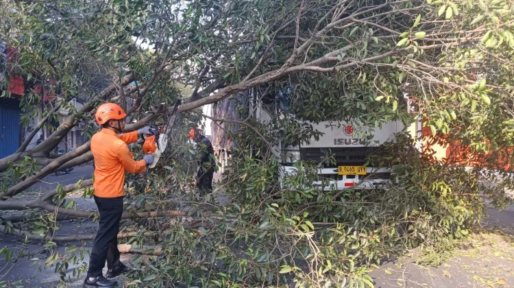 Pasca Pohon Tumbang, Jalur Malang - Blitar Kembali Normal