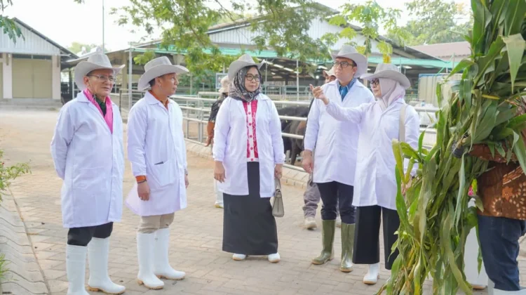 Koperasi Susu di Jatim Siap Jadi Pemasok Utama Susu Pasteurisasi Program MBG