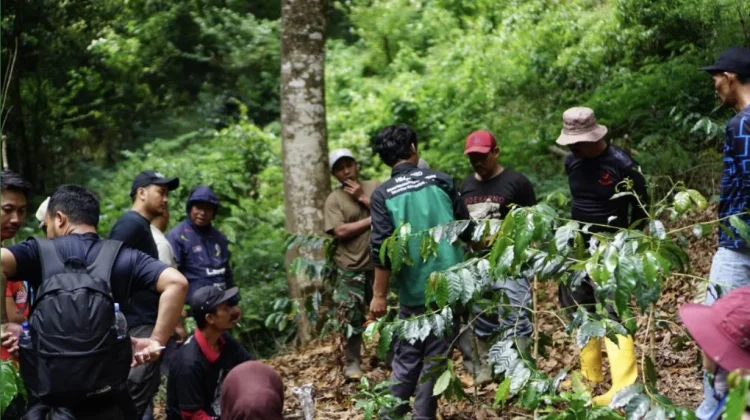 Mahasiswa dan Dosen UMM Bekali Kelompok Tani Hutan Teknik Stek dan Grafting Kopi