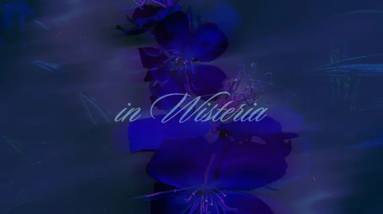 Sunkith Rilis Mini Album Perdana "In Wisteria", Angkat Perjalanan Emosi