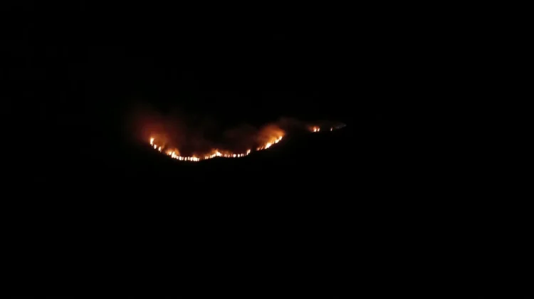 Savana Gunung Bromo Terbakar