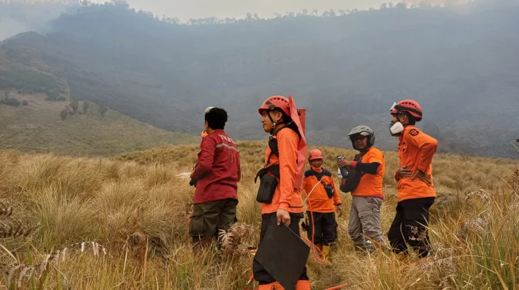 Karhutla Bromo: Luas Area Terbakar Diperkirakan Capai 7,9 Hektare