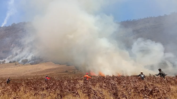 Karhutla Gunung Bromo Meluas, Warga Padamkan Api dengan Cara Tradisional