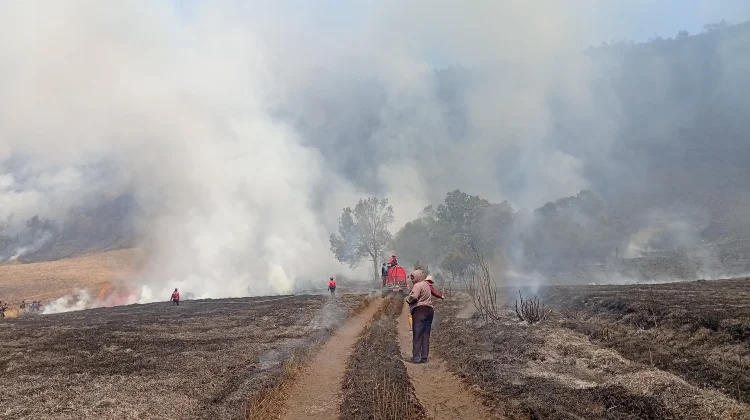 Kebakaran Hutan Bromo Belum Terkendali, Luas Area Terbakar Capai 51 Hektare