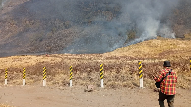 Karhutla Bromo Ancam Habitat Satwa Liar, Satu Titik Api Masih Dipantau