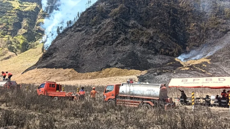 Karhutla Bromo Meluas, 80 Hektare Lahan di Kabupaten Malang Terdampak