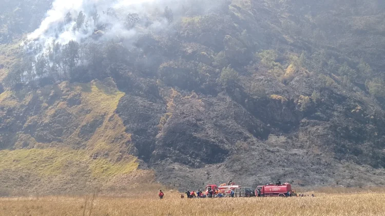 Karhutla Bromo Meluas ke Penanjakan, Luas Terdampak Capai 520 Hektare