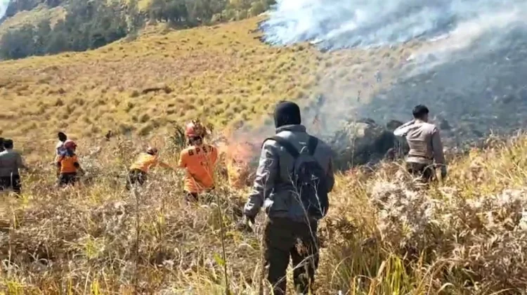 Karhutla Bromo Terkendali, 899 Hektare Terdampak