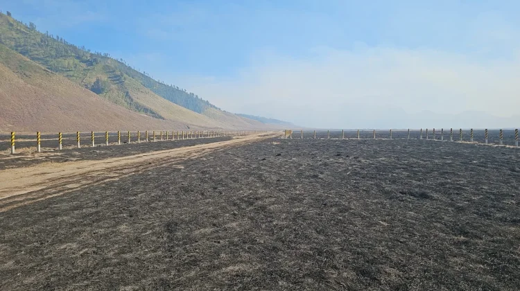 Karhutla Bromo Capai 889 Hektare, BNPB Berpacu Padamkan Api sebelum 14 Agustus