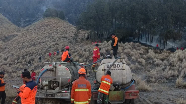 Karhutla Bromo Meluas Jadi 921 Hektare, Titik Api Terbesar Kini di Wilayah Dingklik
