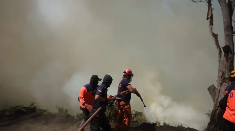 Kebakaran Hutan dan Lahan di Bromo Merembet ke Bukit Cinta di Tosari