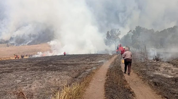 Karhutla Bromo, Pelaku Wisata Apresiasi Perjuangan Relawan dan Tim Gabungan