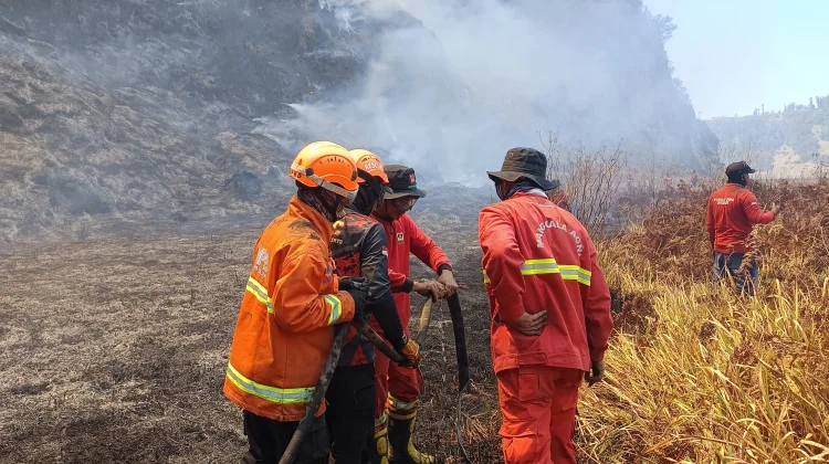 Water Bombing Bromo Tembus 279 Ribu Liter, Api Masih Bertahan di Dingklik
