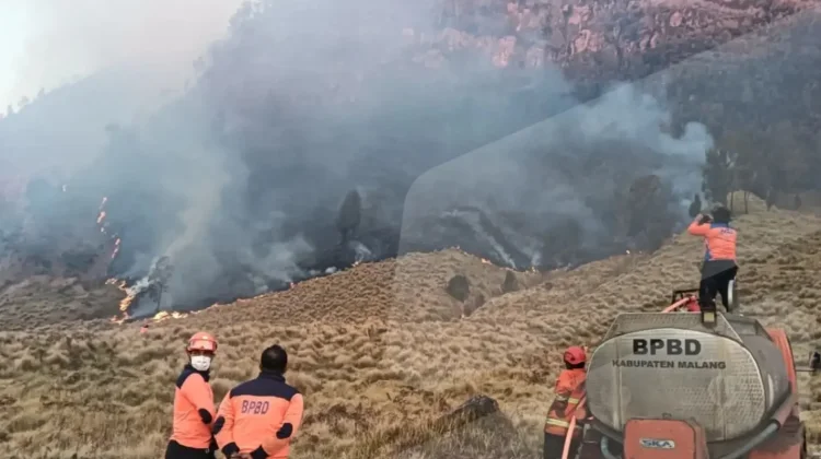 Karhutla Bromo, Tim Gabungan Kejar Target Padam sebelum Jumat