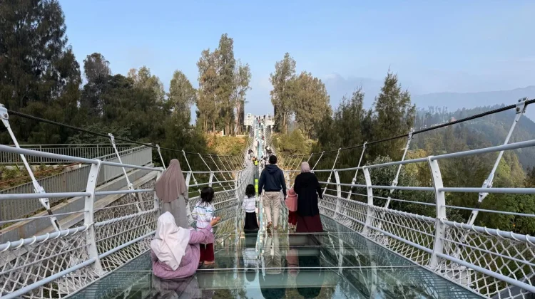 Jembatan Kaca Seruni Point Ikut Ditutup Dampak Karhutla Bromo