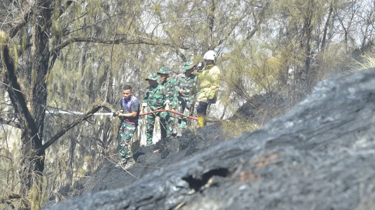 Kebakaran Hutan dan Lahan di Bukit Cinta dan Pakis Bincil Berhasil Dipadamkan
