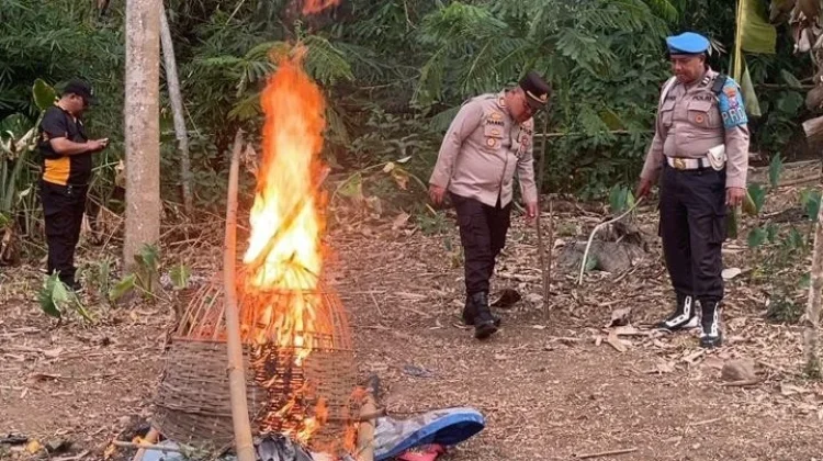 Polres Malang Bongkar Sarana Diduga untuk Sabung Ayam di Pakisaji