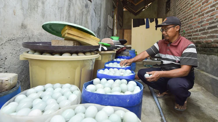 Puluhan Tahun, Kampung Bebek Tawangsari Bertahan Sebagai Sentra Telur Asin
